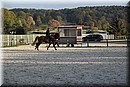 D56_3510.JPG