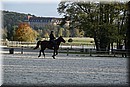 D56_3511.JPG