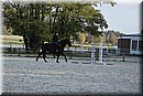 D56_3512.JPG