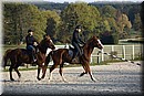D56_3517.JPG