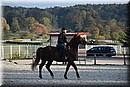 D56_3518.JPG