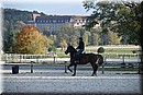 D56_3519.JPG