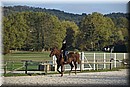 D56_3520.JPG