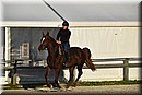 D56_3521.JPG