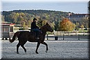 D56_3524.JPG