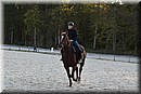 D56_3525.JPG
