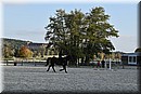 D56_3526.JPG