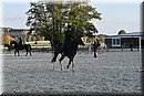 D56_3527.JPG