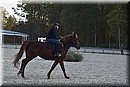 D56_3529.JPG