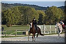 D56_3530.JPG