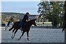 D56_3532.JPG