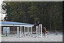 D56_3536.JPG