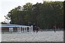 D56_3537.JPG