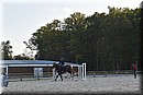 D56_3538.JPG