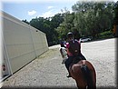 P1100392.JPG
