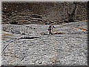 PA280779.JPG