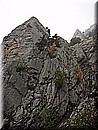 PA140751.JPG
