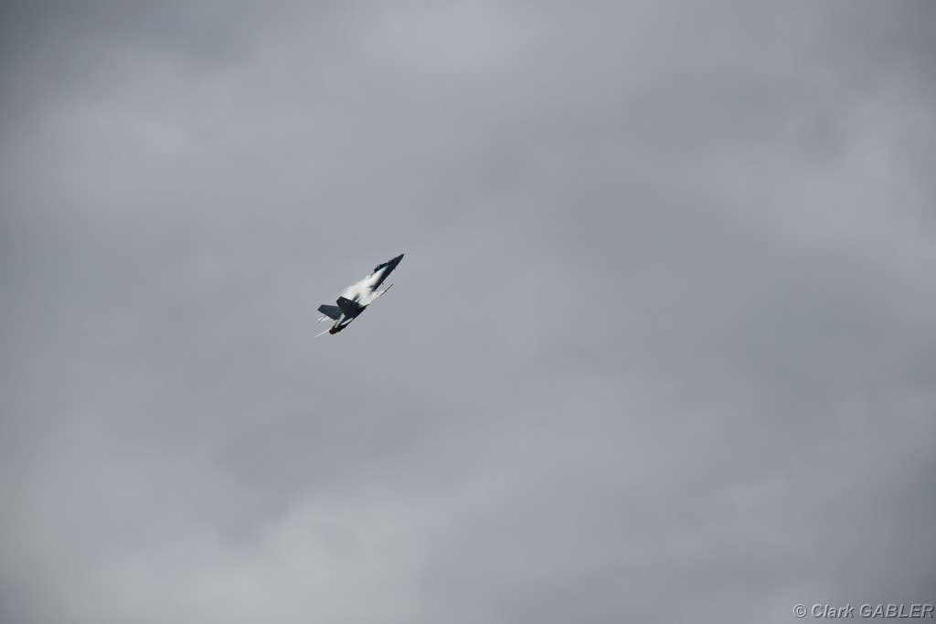 D56_0421.JPG