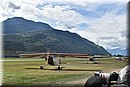 D56_0687.JPG