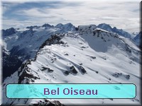 [Bel Oiseau]