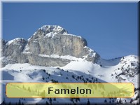 [Famelon]