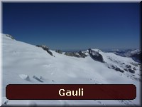 [Gauli]