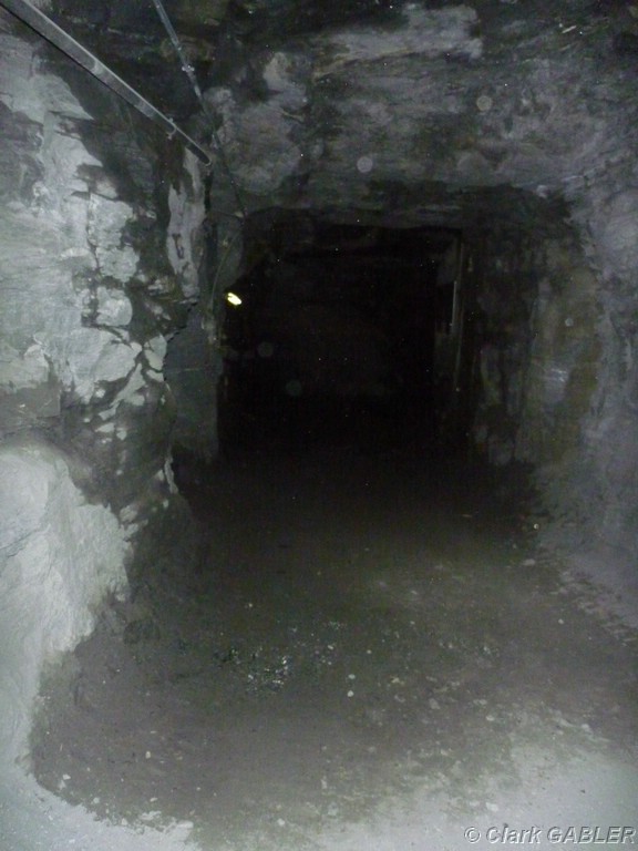 P1130537.JPG