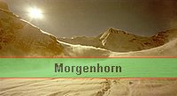 [Morgenhorn]